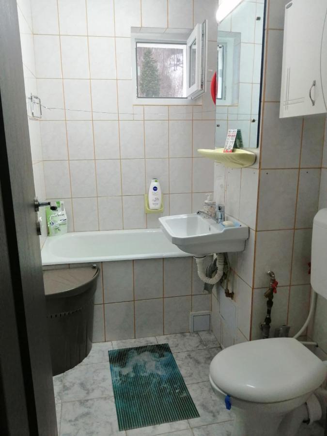 Apartment Valea Azugii Azuga Luaran gambar