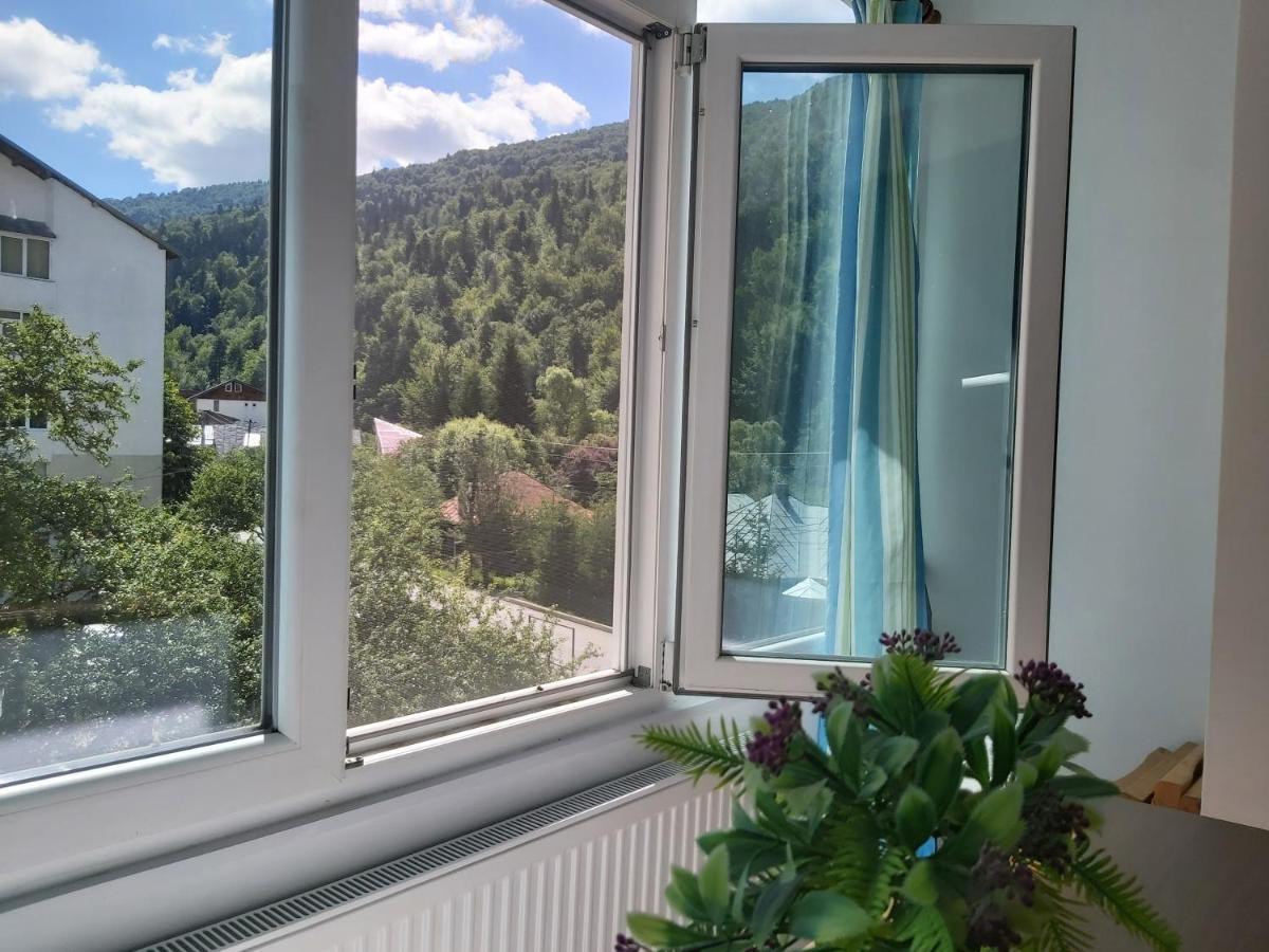 Apartment Valea Azugii Azuga Luaran gambar