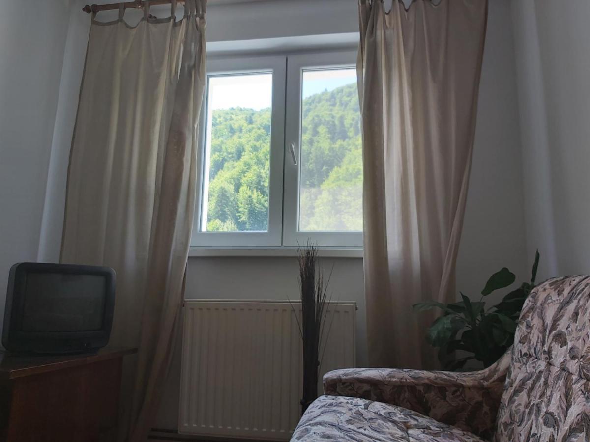 Apartment Valea Azugii Azuga Luaran gambar